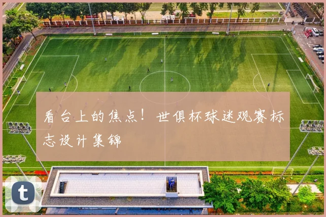 看台上的焦点！世俱杯球迷观赛标志设计集锦