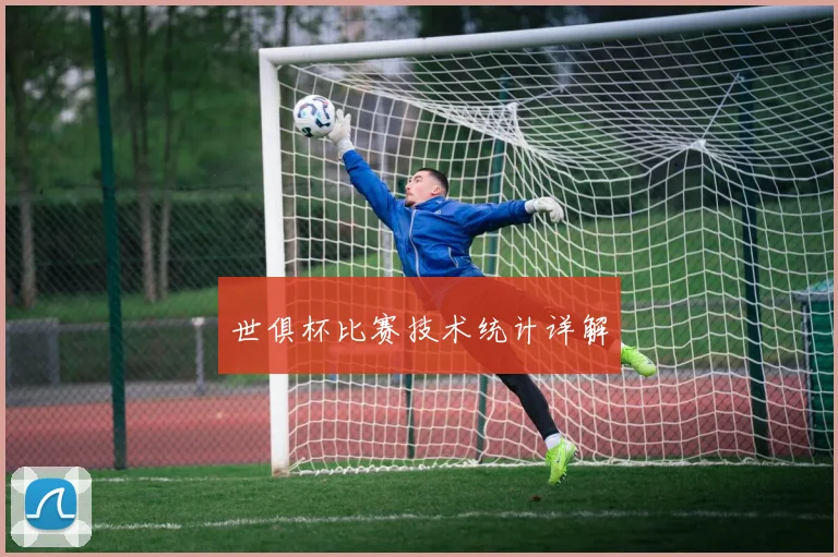 世俱杯比赛技术统计详解