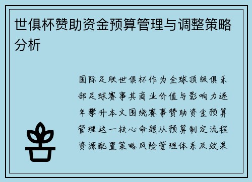 世俱杯赞助资金预算管理与调整策略分析
